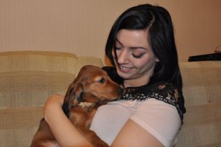 jamnik d�ugow�osy